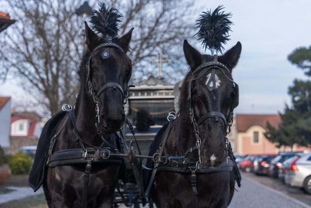 Pohřební služba Navrátil – pohrbykutnahora.cz